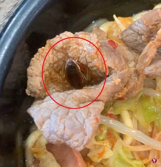 (已签发)柔:狮城二三事:女郎吃一半 部队锅内惊见蟑螂