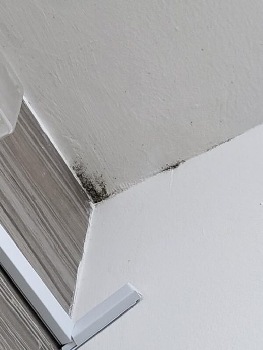 (已签发)柔:狮城二三事:楼下屋主诉太吵 与楼上单位承包商爆口角