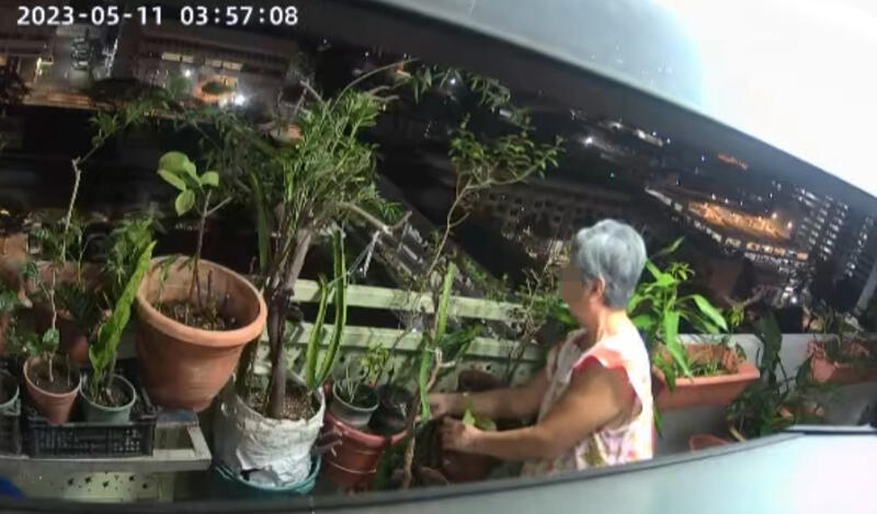 (已签发)柔:狮城二三事:阿叔诉:邻居嬷搞破坏 灌盐水 拔盆栽
