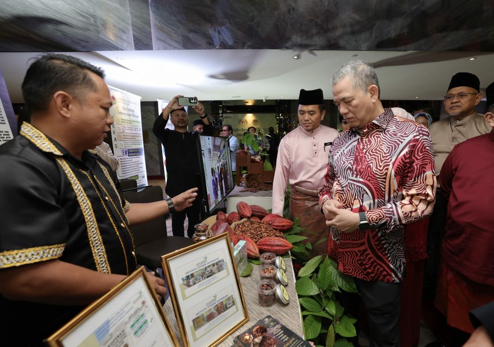 （法迪拉）强大政府领先发展 团结政府向砂学习