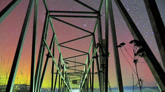 Kim Teoh／偶遇南极光