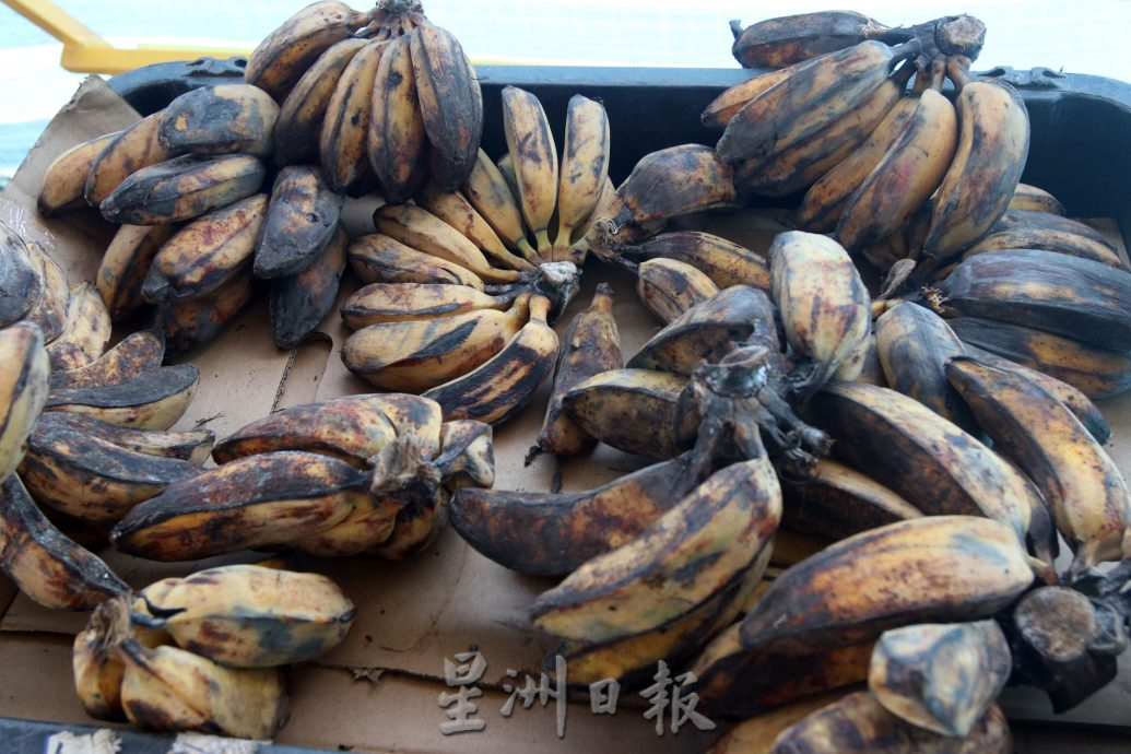 NS文丁：“明明更新了执照，为何还封我档？”杨媚婷：无执照套件皆属非法经营