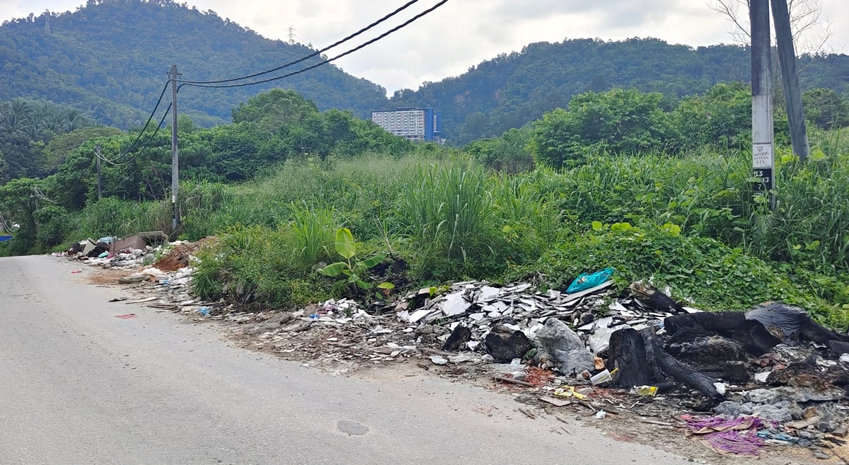 NS芙蓉:嘉乐珍珠园通邓普勒捷径再沦“垃圾场”;居民怒斥:无良人做无良事