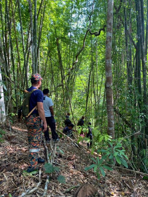 17岁少年走进胶园失踪 逾百人组成搜索队找寻