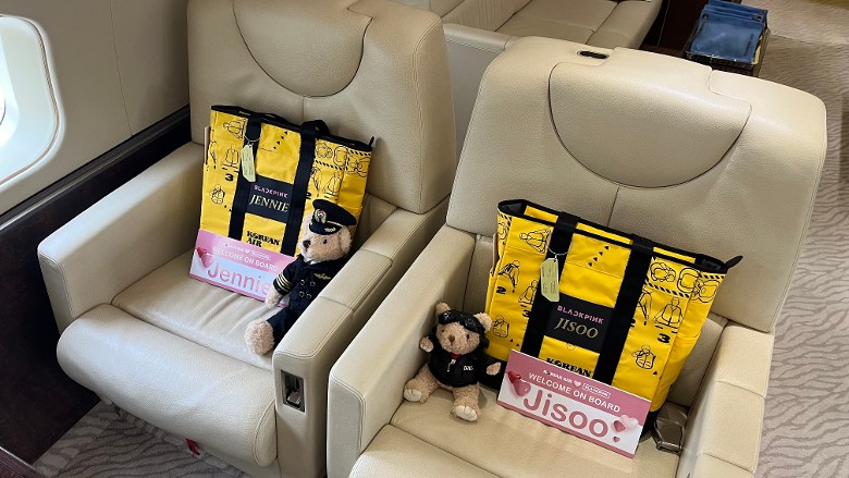 BLACKPINK专属座椅曝光 奢华专机年花250万