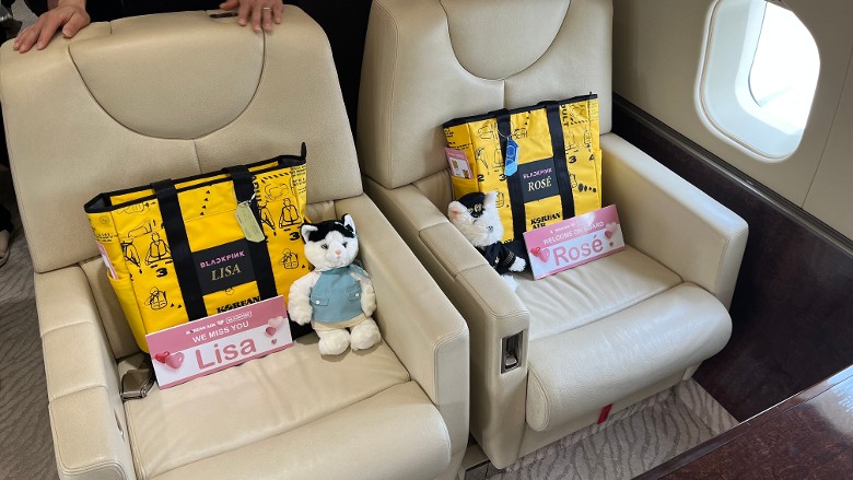 BLACKPINK专属座椅曝光 奢华专机年花250万