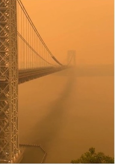 发单曲提山火疑蹭热度 尚恩曼德斯被轰脑残