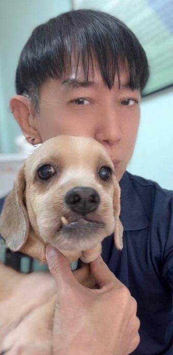 “仅听不见 我们仍是正常父母”聋哑夫妻常被夸：你孩子好聪明