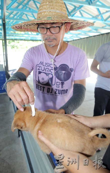 “小浪乌托邦”临时收容所启用 盼5年内怡流浪狗减半