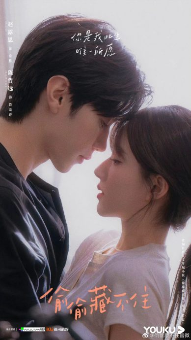 “爱情糖衣包装性犯罪” 赵露思新剧被要求下架