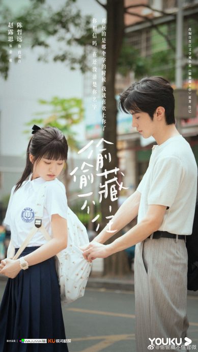 “爱情糖衣包装性犯罪” 赵露思新剧被要求下架