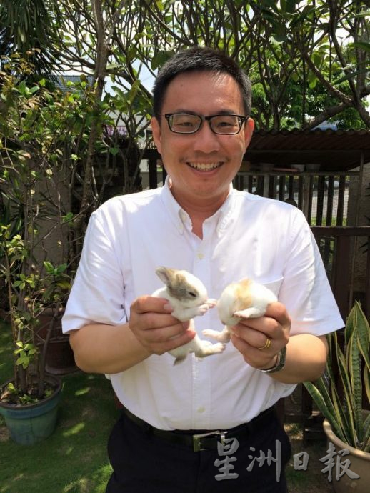 ★7月1日刊登／大霹雳封底主文／【我家萌宠】／兔子外型可爱 活泼蹦跳 “蹦星人”十分讨喜