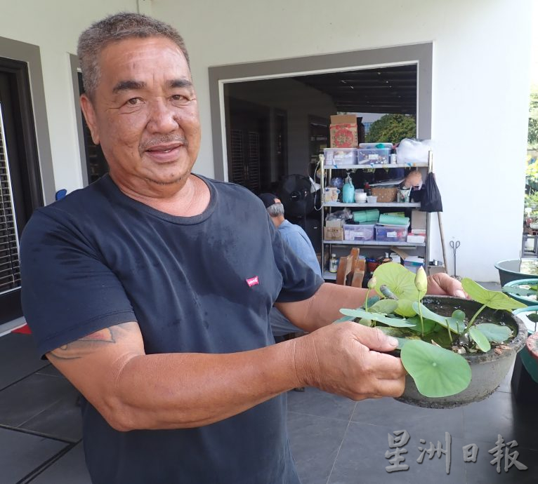 【农的传人】★6月19日刊登／大霹雳封底主文／家有500余盆约300品种 雷顺兴深爱莲花变副业​