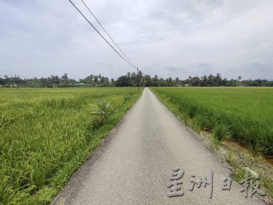 【大城小镇／02】马口百年印度庙，建筑风水大有学问