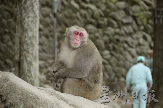 【日本】到别府人气地狱泡温泉