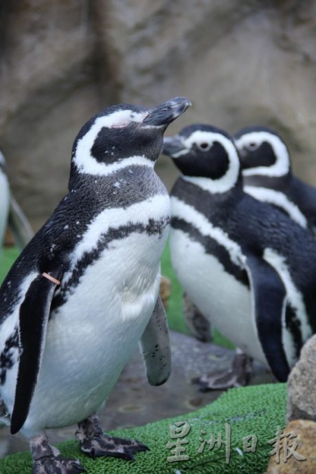 【日本】到别府人气地狱泡温泉