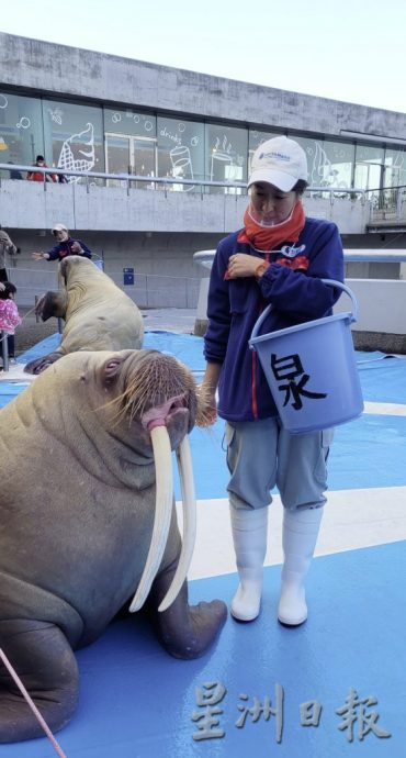【日本】到别府人气地狱泡温泉