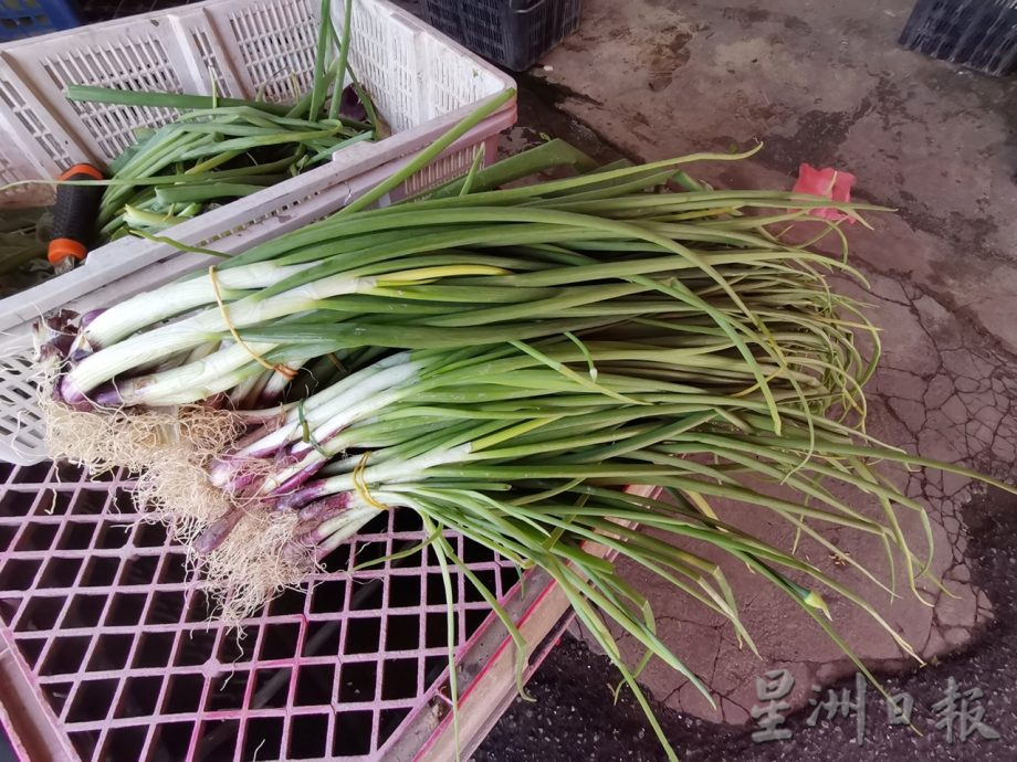 金马仑菜车上路政策 暂未带来大影响