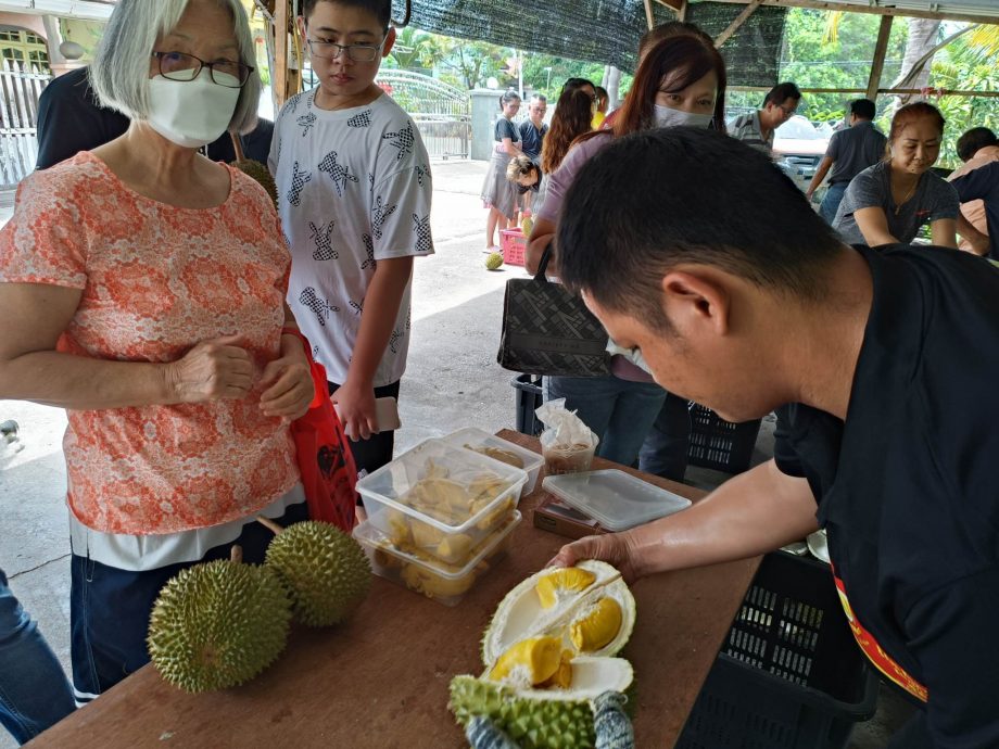东头:坤玉榴梿抛价热卖,1500公斤的果王在3个小时卖光!