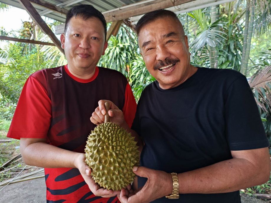东头：坤玉榴梿抛价热卖，1500公斤的果王在3个小时卖光！
