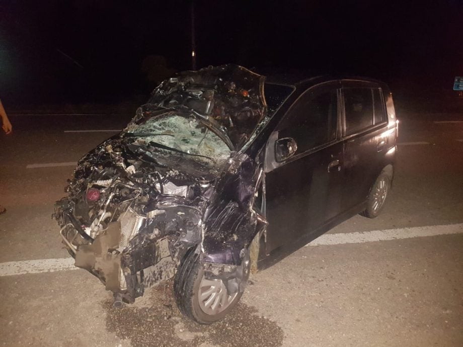 东:2头牛忽然冲出马路,1辆轿车闪避不及撞上,导致2头牛死亡,轿车严重损毁,所幸司机安全无恙。