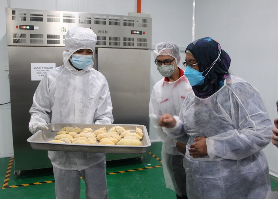 东:彭亨卫生局长说,榴梿出口卫生准证今年翻倍增长