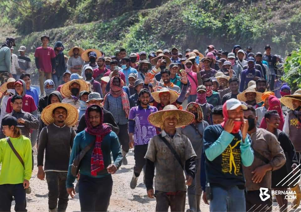 东:彭亨皇家榴梿集团采用高科技管理榴梿园,堪称榴梿业界先驱