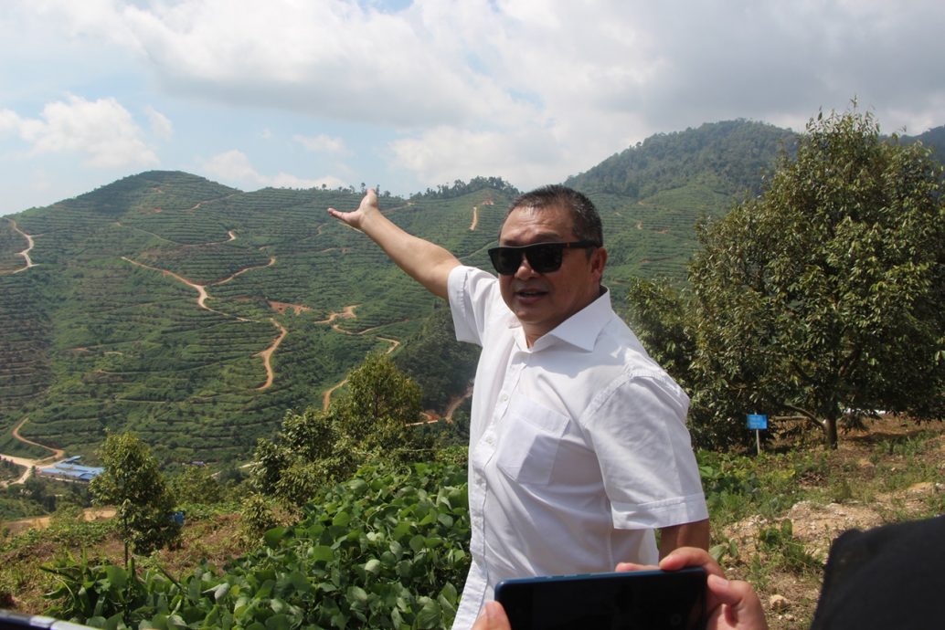 东:彭亨皇家榴梿集团采用高科技管理榴梿园,堪称榴梿业界先驱