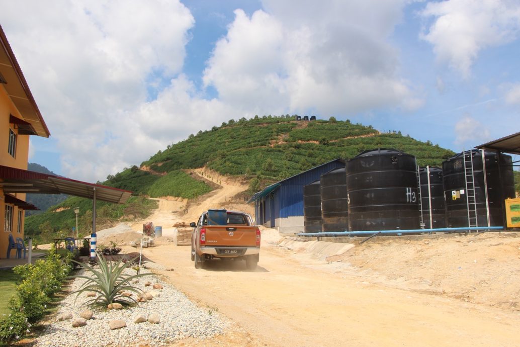 东:彭亨皇家榴梿集团采用高科技管理榴梿园,堪称榴梿业界先驱