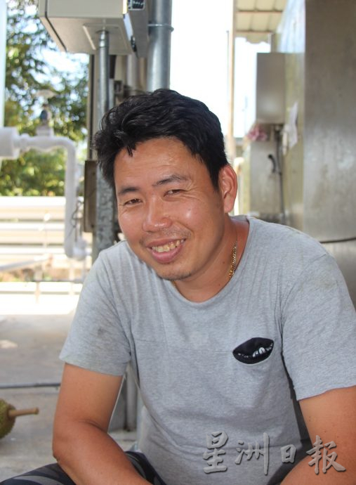 东:猫山王收购价跌跌不休,成本拿不回,园主欲哭无泪