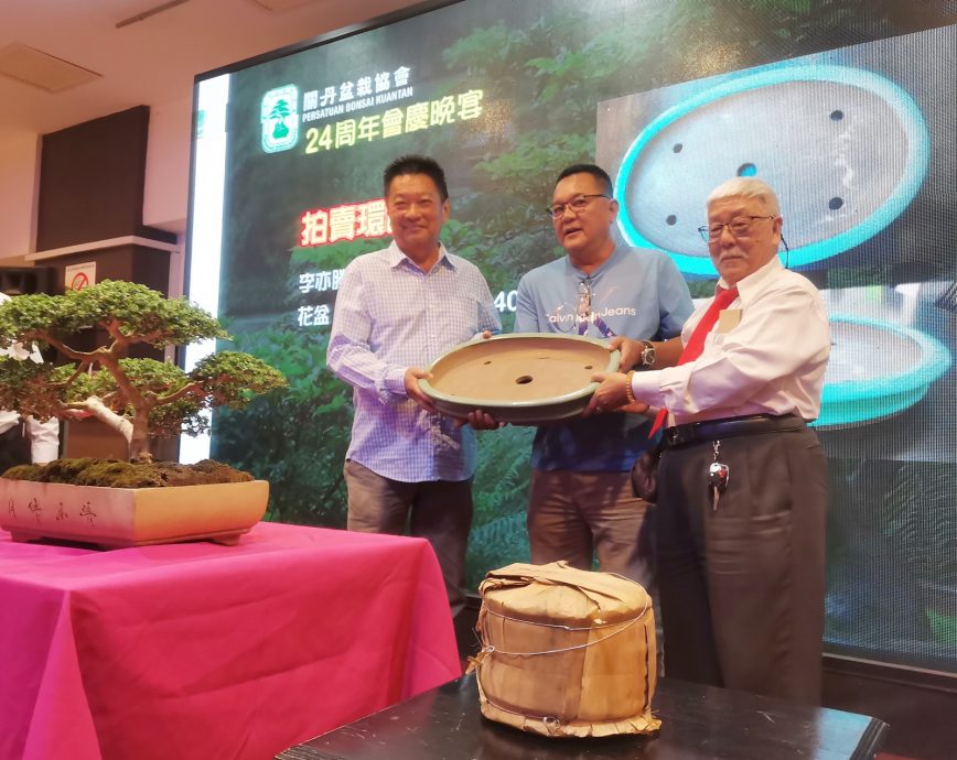 东:盆栽晚宴