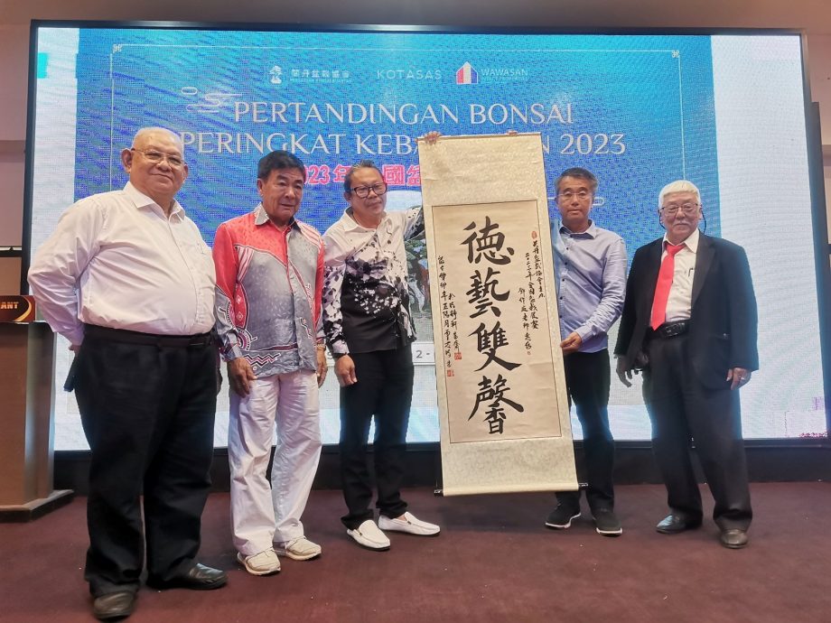 东:盆栽晚宴