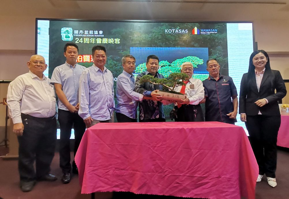东：盆栽晚宴