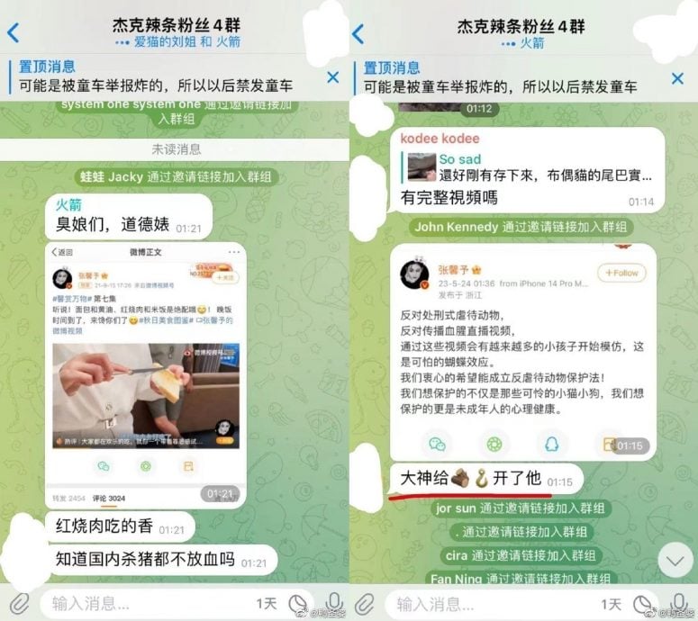 为虐猫事件发声 张馨予赵露思被盯上个资外泄