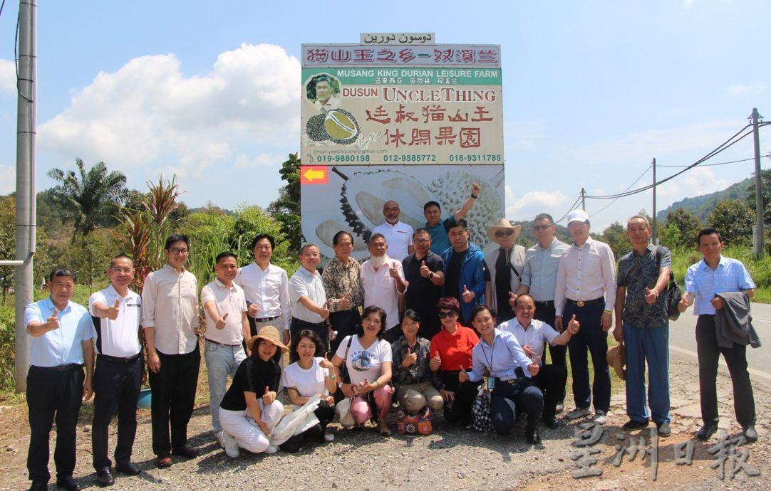 中国侨商联合会鼓励大马以榴梿鲜果方式出口中国