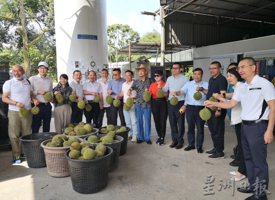 中国侨商联合会鼓励大马以榴梿鲜果方式出口中国
