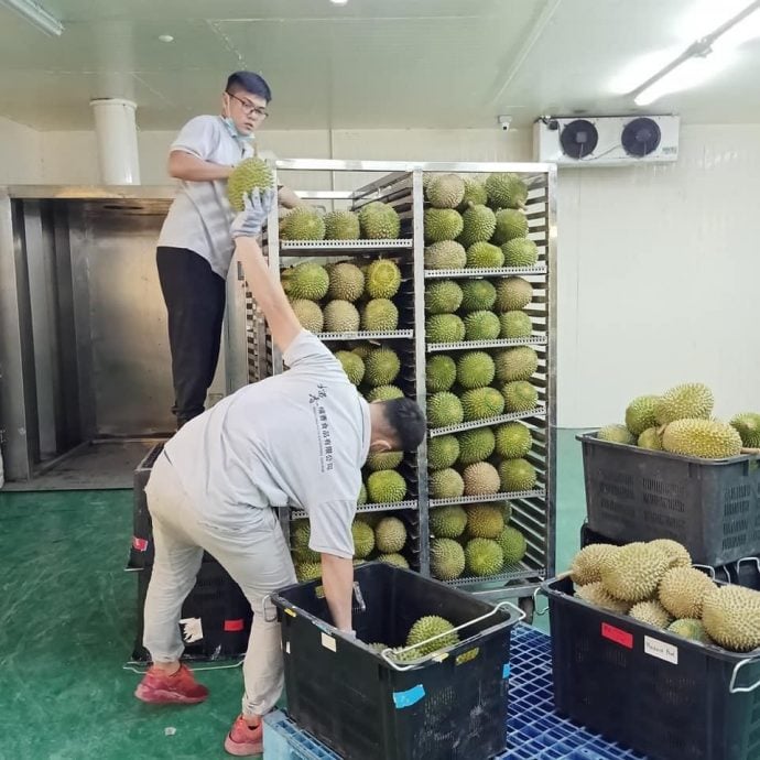 全:黑种子问题大幅改善,榴梿料下星期恢复出口中国