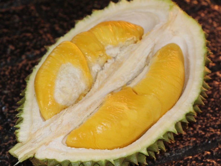 全:黑种子问题大幅改善,榴梿料下星期恢复出口中国