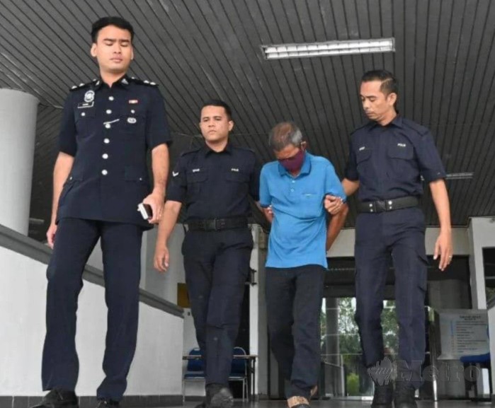 前军人射死猫被判罚2万