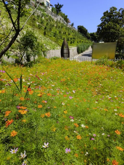 卓衍豪／从中国乡村振兴，看乡村的未来式
