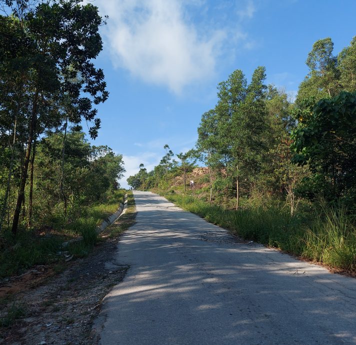 大都会/封面副文/私人地计划发展渡假村,地主出资1500万提升保留路/5图