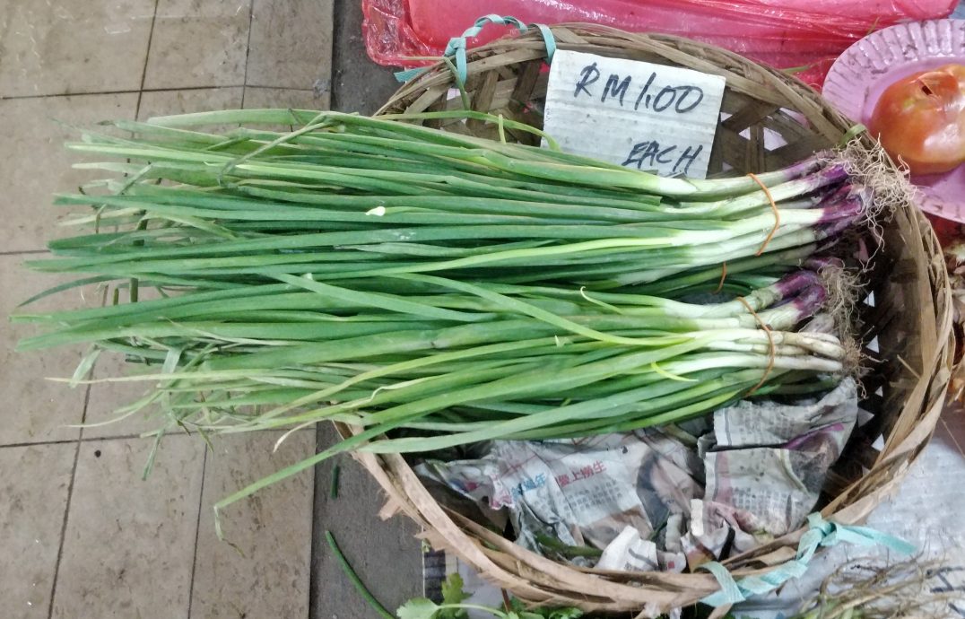 天晴产量多菜平价 番茄菜心小白菜跌最多