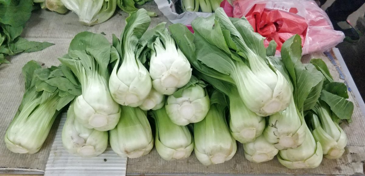 天晴产量多菜平价 番茄菜心小白菜跌最多