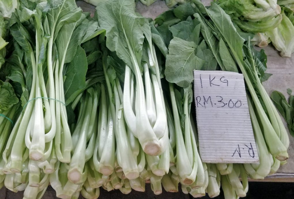 天晴产量多菜平价 番茄菜心小白菜跌最多