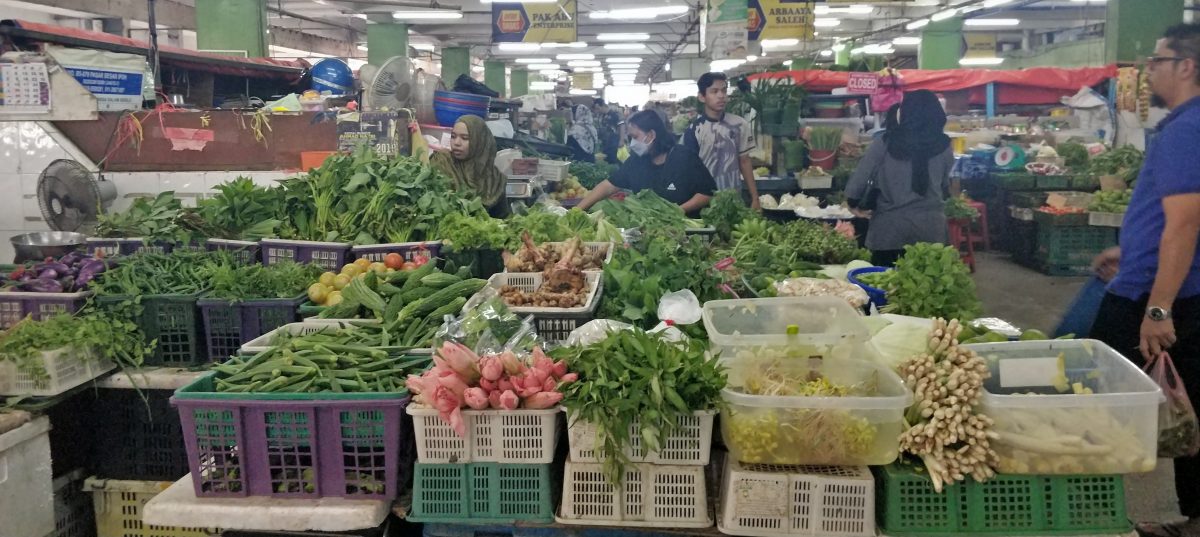 天晴产量多菜平价 番茄菜心小白菜跌最多