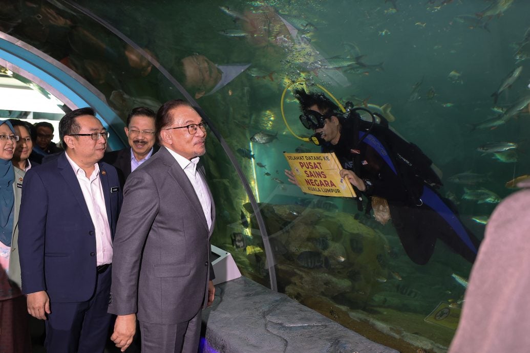 安华:将发展氢经济