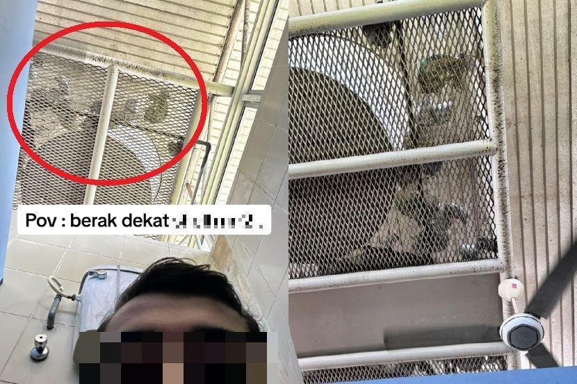 家长把占粪便纸尿片丢公厕水槽上 男子痛批城市人文明在哪?