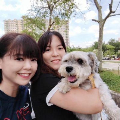 封面-大都会/跟进政府或禁宠物店卖狗/10图