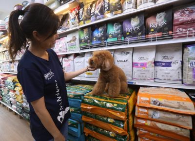 封面-大都会/跟进政府或禁宠物店卖狗/10图