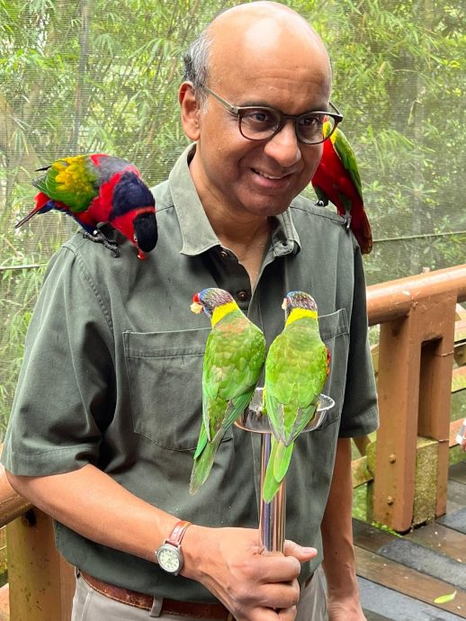 尚达曼宣布竞选新加坡总统